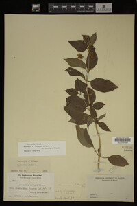 Image Associated With the Occurrence