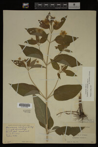 Image Associated With the Occurrence
