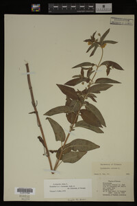 Image Associated With the Occurrence