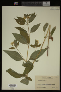 Image Associated With the Occurrence