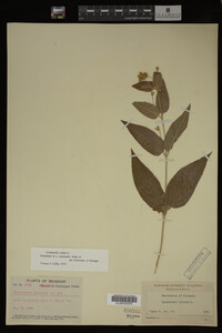 Image Associated With the Occurrence