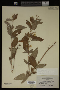 Image Associated With the Occurrence