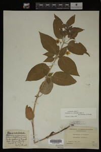 Image Associated With the Occurrence
