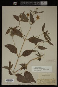 Image Associated With the Occurrence