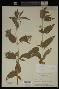 Image Associated With the Occurrence