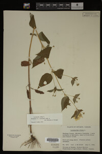 Image Associated With the Occurrence
