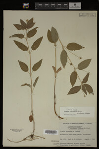 Image Associated With the Occurrence