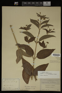 Image Associated With the Occurrence