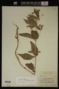 Image Associated With the Occurrence