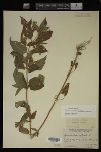 Image Associated With the Occurrence