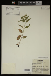 Image Associated With the Occurrence