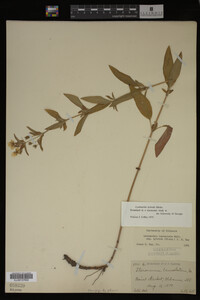Image Associated With the Occurrence