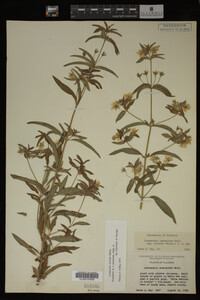 Image Associated With the Occurrence