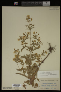 Image Associated With the Occurrence
