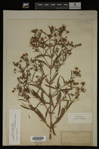 Image Associated With the Occurrence