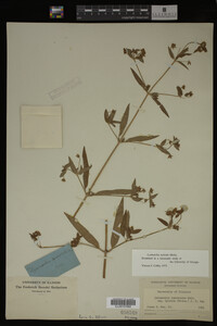 Image Associated With the Occurrence