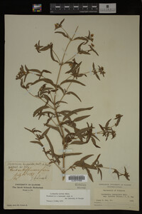 Image Associated With the Occurrence