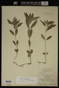 Image Associated With the Occurrence