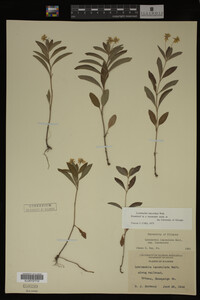 Image Associated With the Occurrence