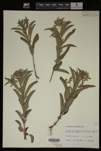 Image Associated With the Occurrence