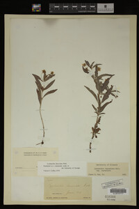 Image Associated With the Occurrence