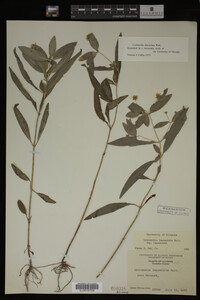 Image Associated With the Occurrence