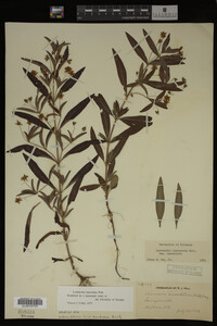 Image Associated With the Occurrence