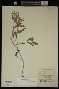 Image Associated With the Occurrence