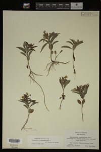 Image Associated With the Occurrence