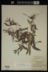 Image Associated With the Occurrence