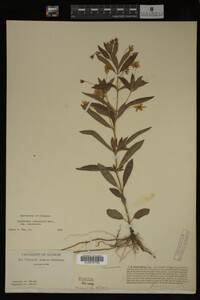 Image Associated With the Occurrence
