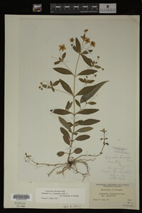 Image Associated With the Occurrence
