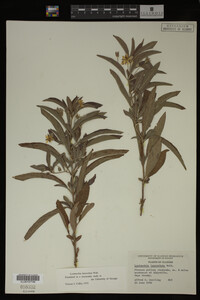 Image Associated With the Occurrence