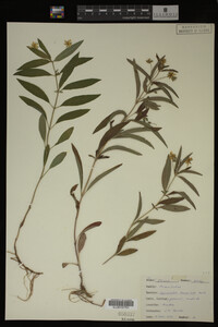 Image Associated With the Occurrence