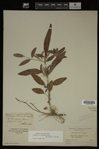 Image Associated With the Occurrence