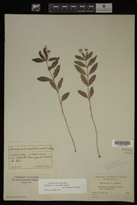 Image Associated With the Occurrence