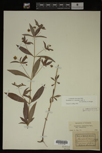 Image Associated With the Occurrence