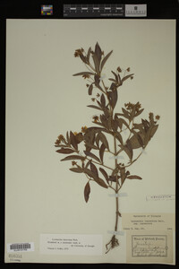 Image Associated With the Occurrence