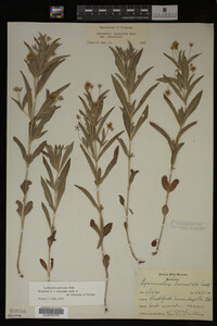 Image Associated With the Occurrence