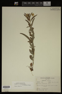 Image Associated With the Occurrence