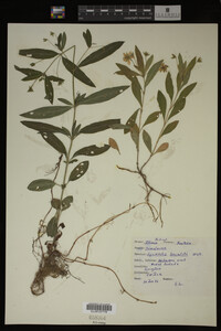 Image Associated With the Occurrence