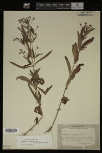 Image Associated With the Occurrence