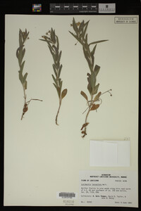 Image Associated With the Occurrence