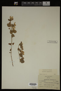 Image Associated With the Occurrence