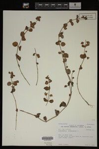 Image Associated With the Occurrence