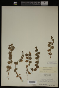 Image Associated With the Occurrence