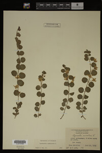 Image Associated With the Occurrence