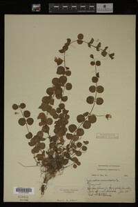 Image Associated With the Occurrence