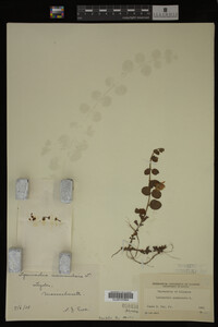 Image Associated With the Occurrence