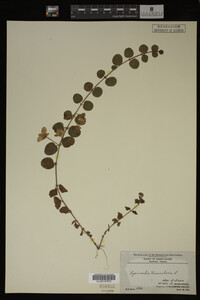 Image Associated With the Occurrence